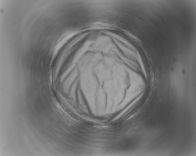 X0000051241415200507152111