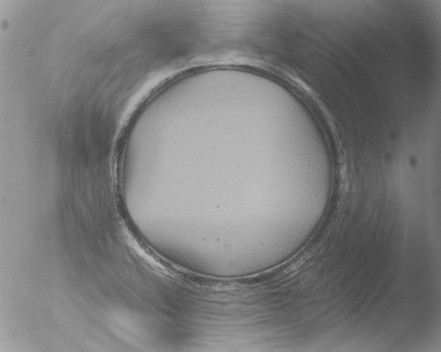 X0000051241416200507152111