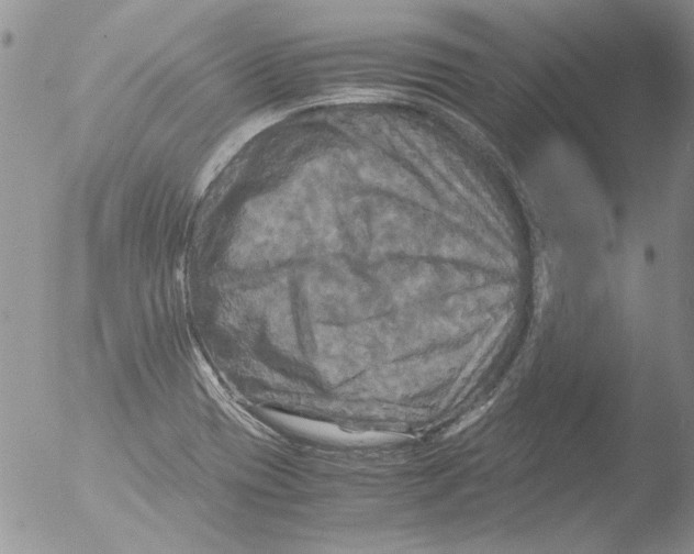 X0000051241417200507152111