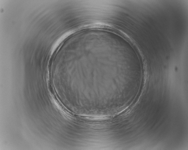 X0000051241418200507152111