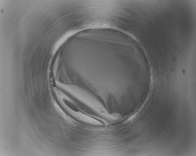 X0000051241422200507152111