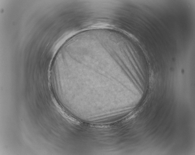 X0000051241423200507152111