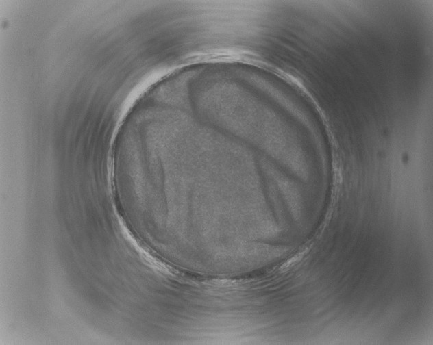 X0000051241424200507152111