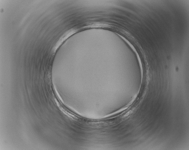 X0000051241425200507152112