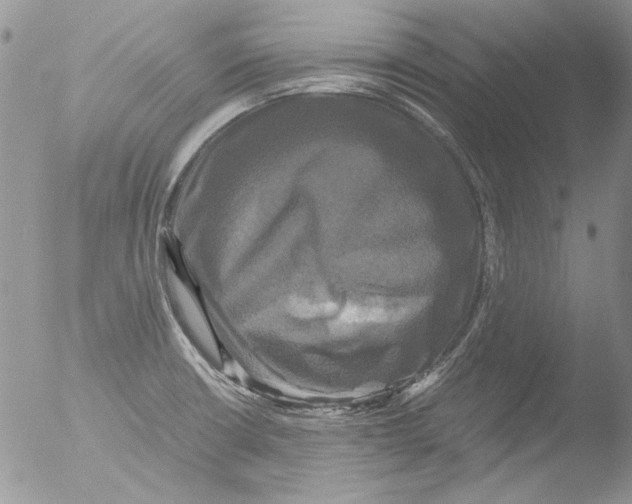 X0000051241426200507152112