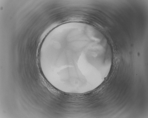 X0000051241427200507152112