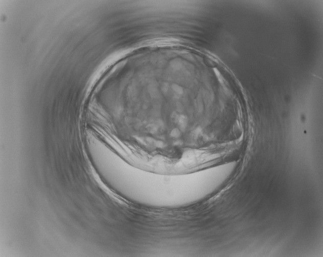 X0000051241429200507152112