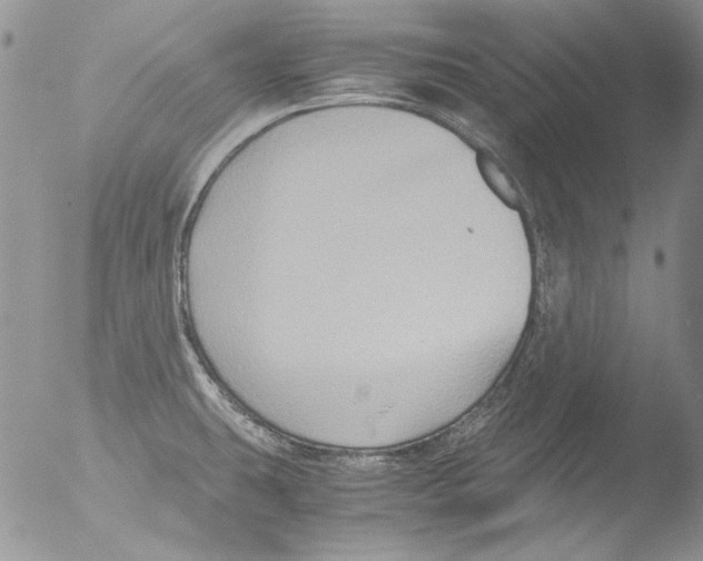 X0000051241431200507152112