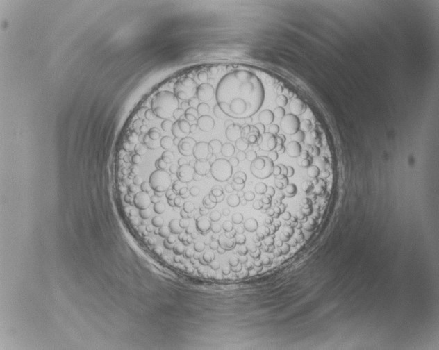 X0000051241432200507152112