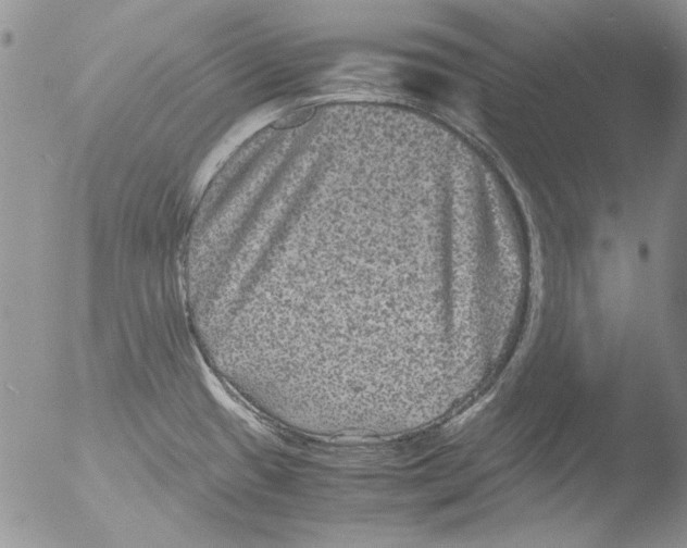 X0000051241433200507152112