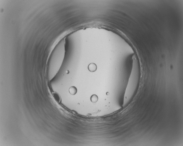 X0000051241434200507152112