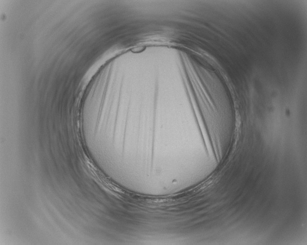 X0000051241435200507152112