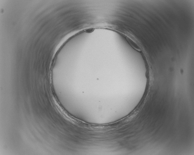 X0000051241436200507152112