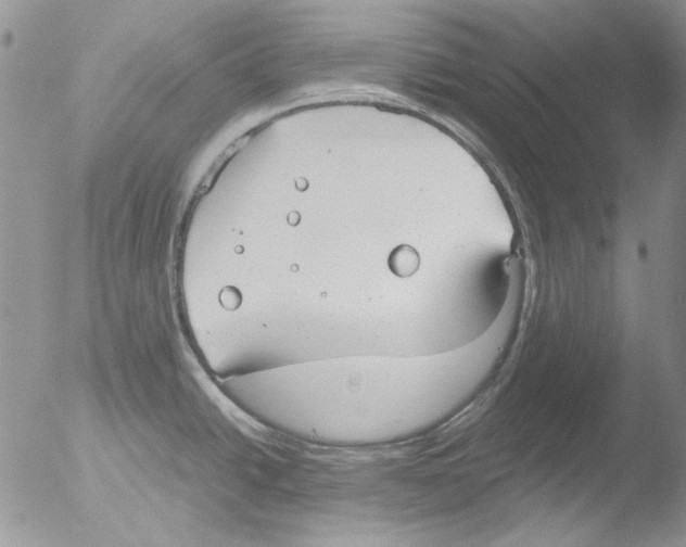 X0000051241438200507152112