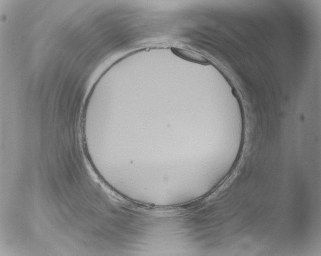 X0000051241440200507152112