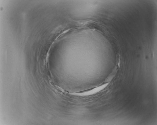 X0000051241441200507152111