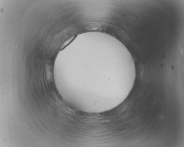 X0000051241442200507152111