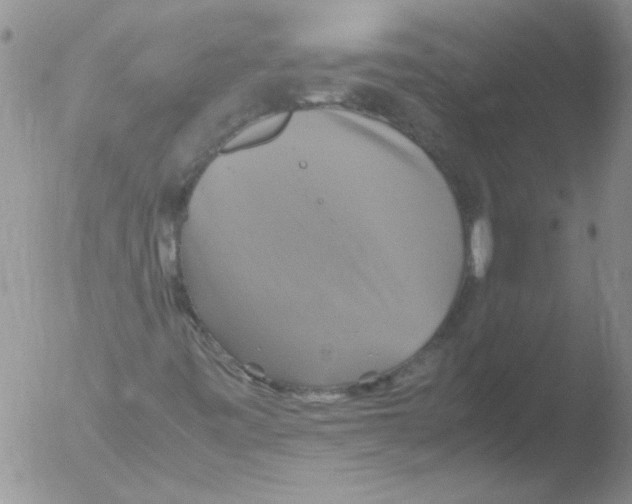 X0000051241443200507152111