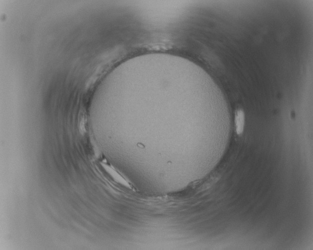 X0000051241444200507152111