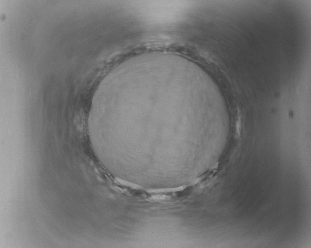 X0000051241445200507152111