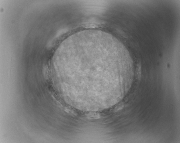 X0000051241446200507152111