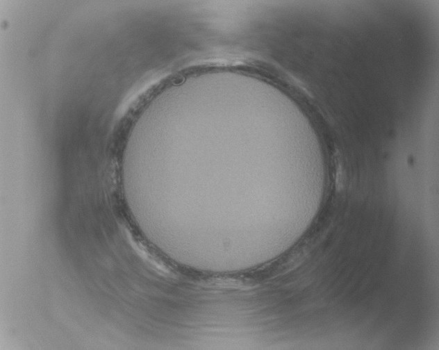 X0000051241448200507152111