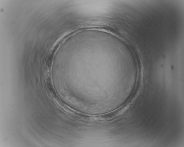 X0000051241449200507152111