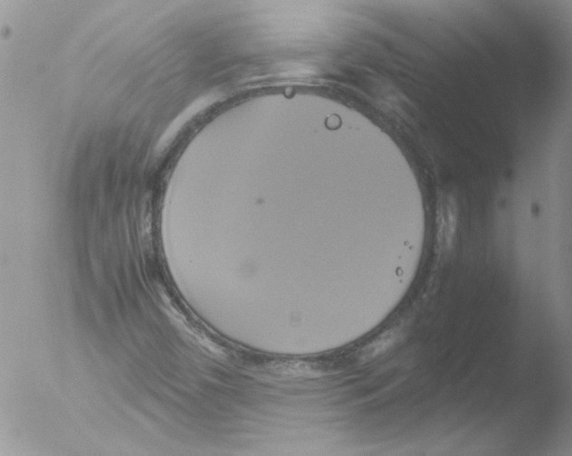 X0000051241450200507152111