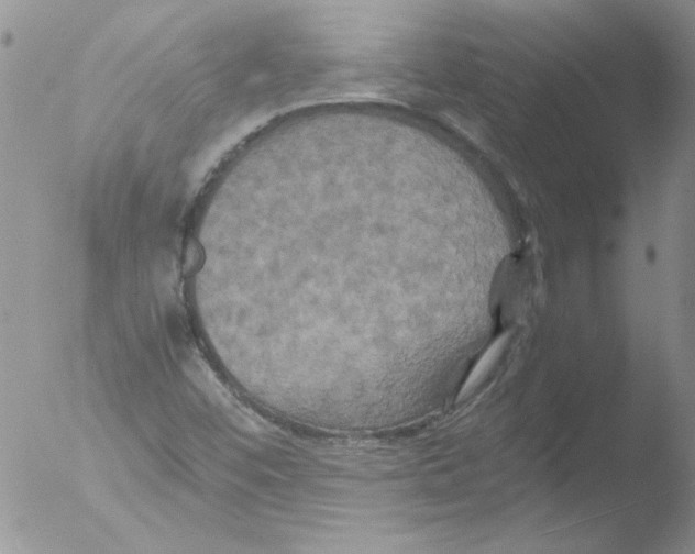 X0000051241452200507152111