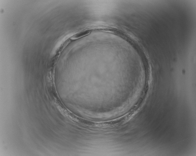 X0000051241453200507152111