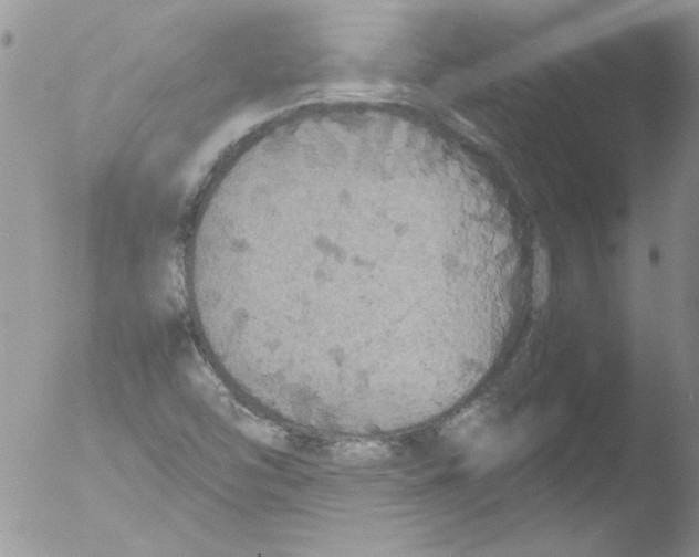 X0000051241454200507152111