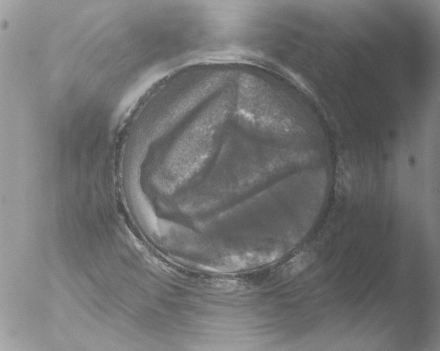 X0000051241456200507152111