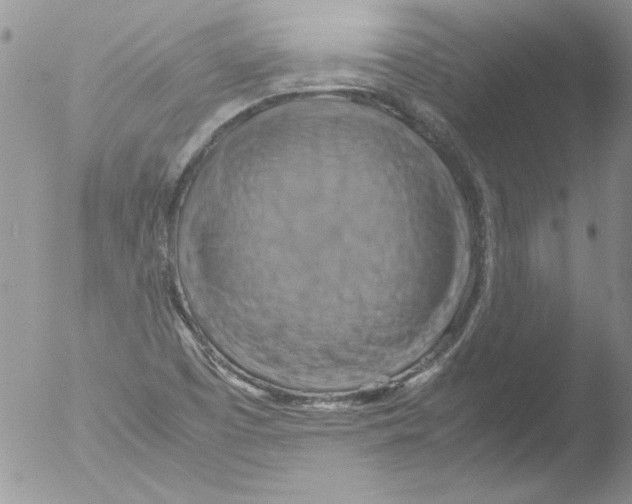 X0000051241457200507152111