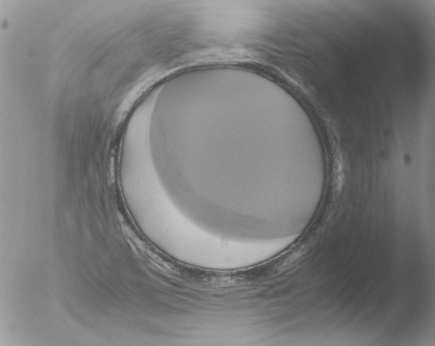 X0000051241459200507152111