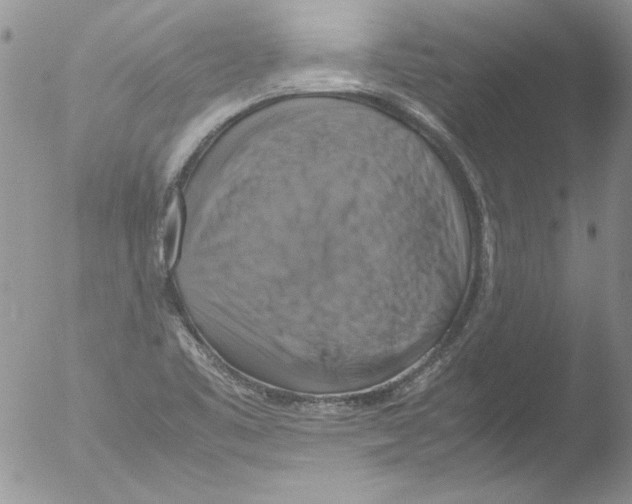 X0000051241461200507152111