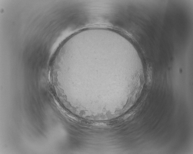 X0000051241462200507152111