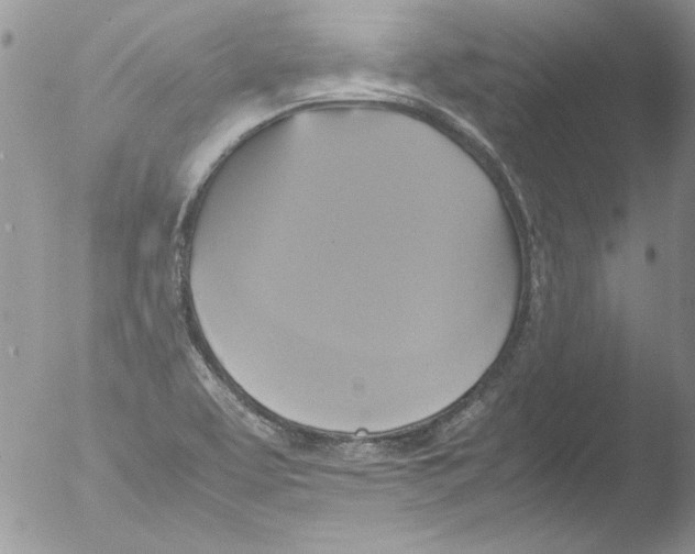 X0000051241463200507152111