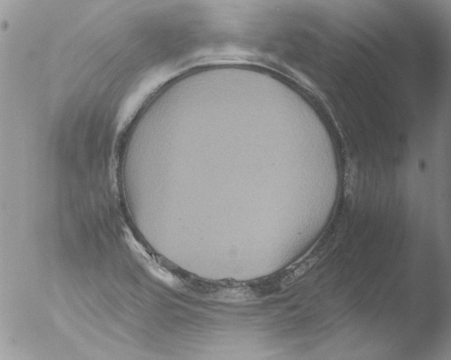 X0000051241464200507152111