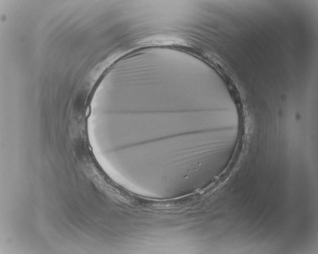 X0000051241465200507152111