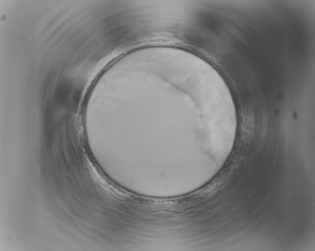 X0000051241466200507152111