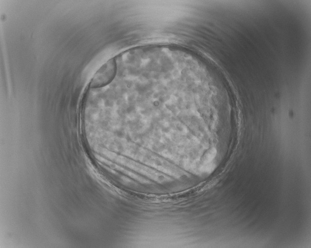 X0000051241467200507152111