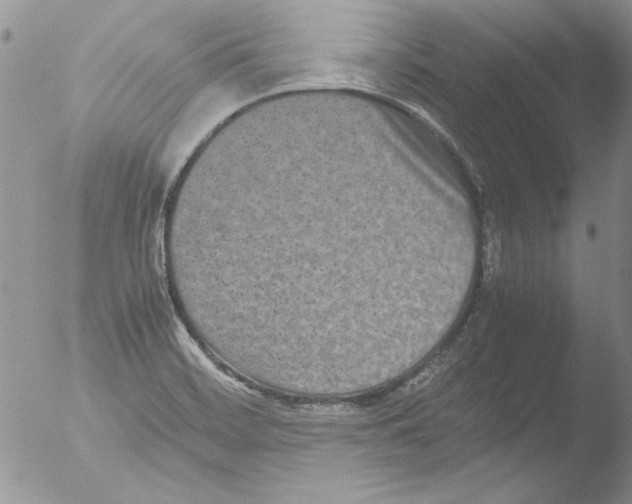 X0000051241468200507152111