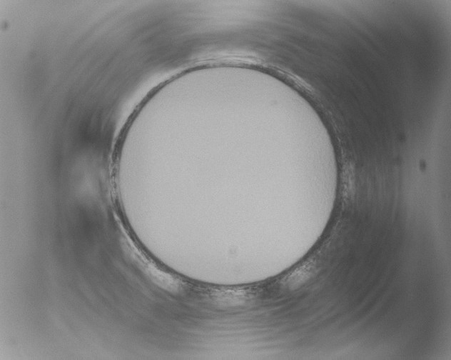 X0000051241470200507152110