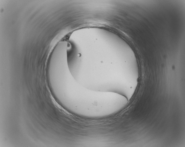 X0000051241471200507152110