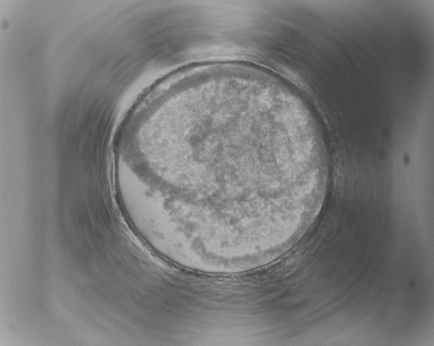 X0000051241472200507152110