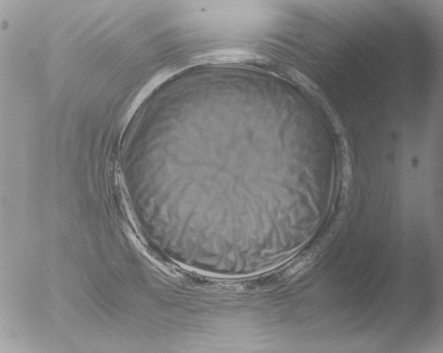 X0000051241473200507152110