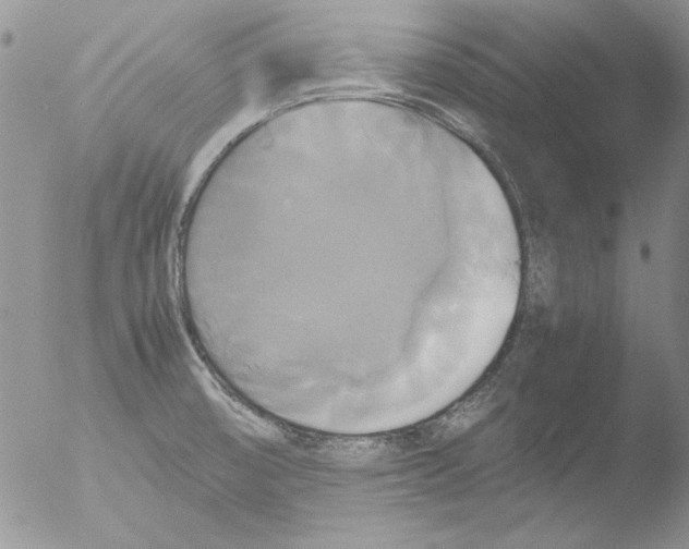 X0000051241474200507152110