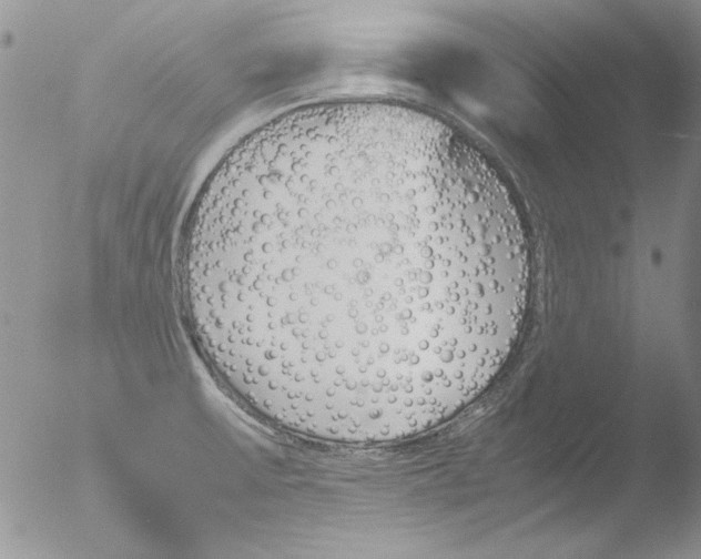 X0000051241475200507152110