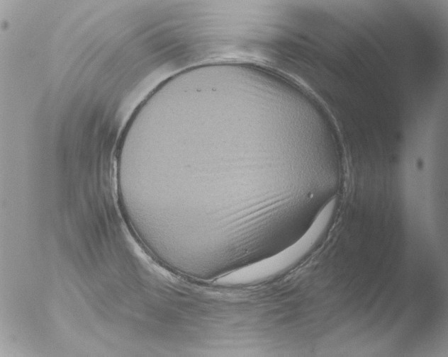 X0000051241476200507152110