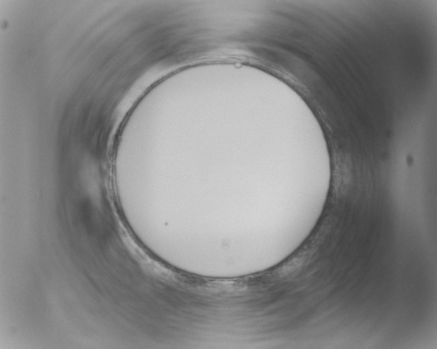 X0000051241478200507152110